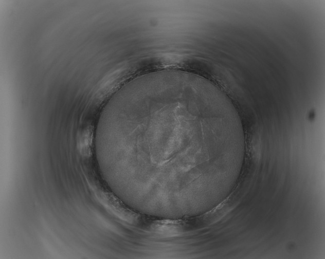 X0000116830082200912241235
