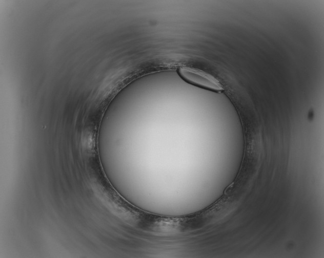 X0000116830084200912241235