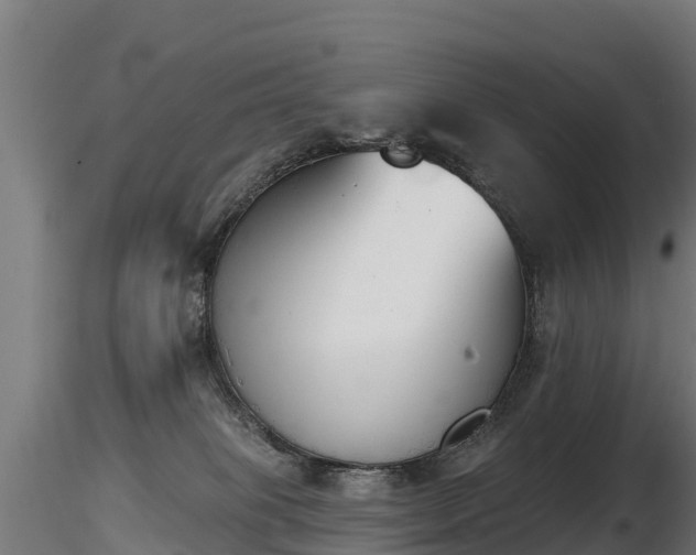 X0000116830085200912241235