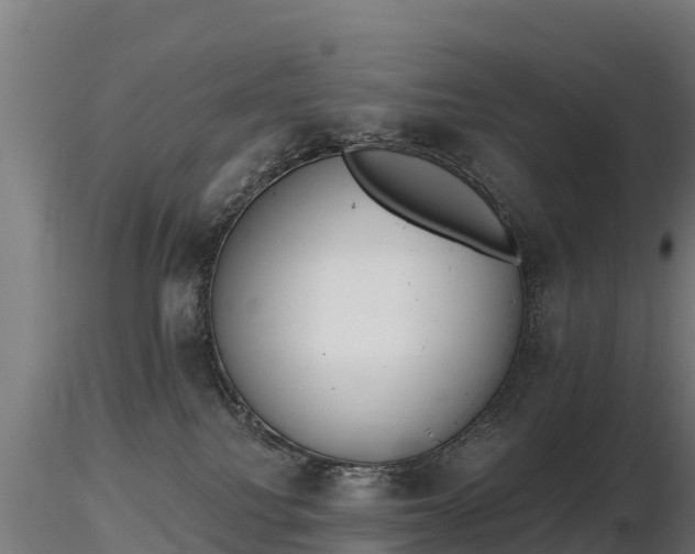 X0000116830088200912241235