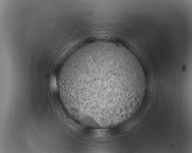 X0000116830089200912241236