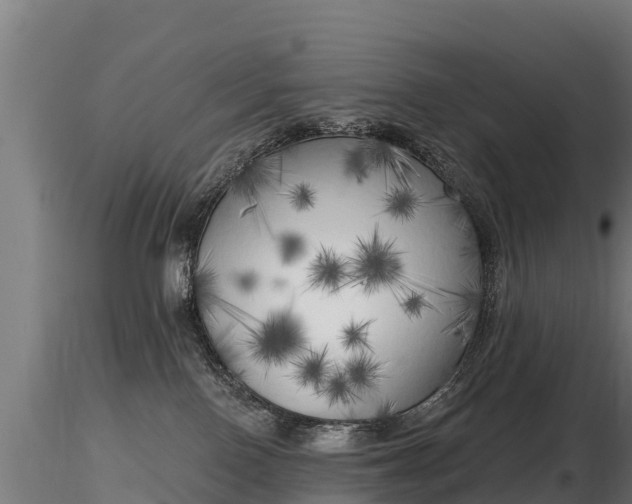 X0000116830090200912241236