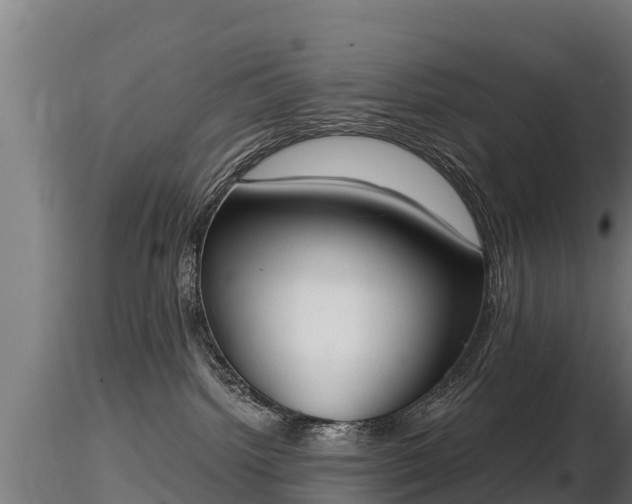 X0000116830092200912241236