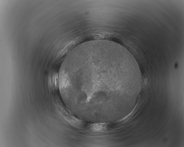 X0000116830094200912241236