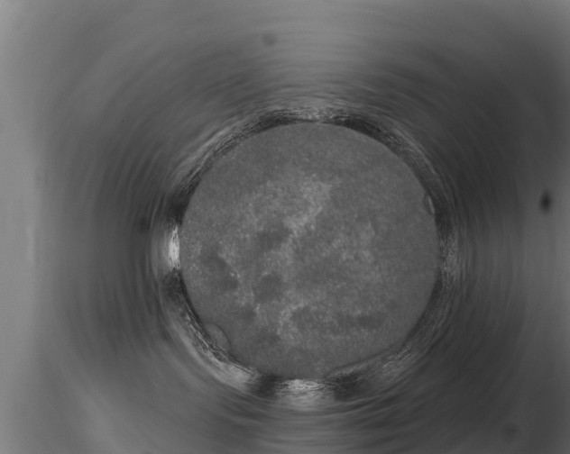 X0000116830095200912241236