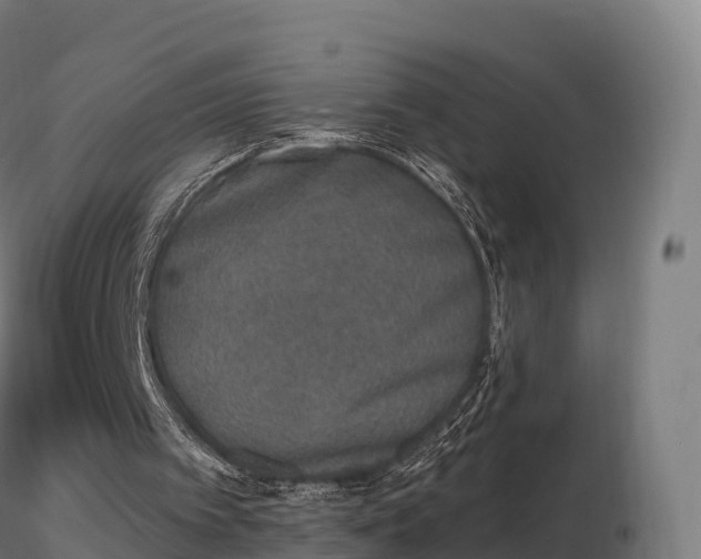 X0000116830097200912241235