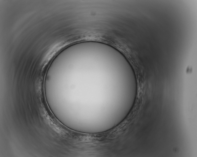 X0000116830098200912241235