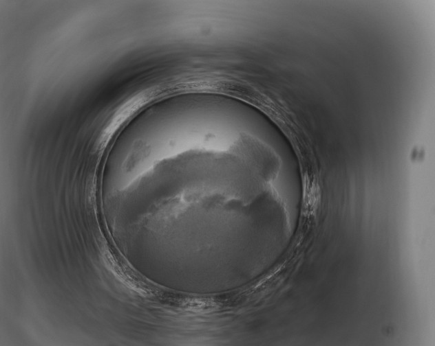 X0000116830099200912241235