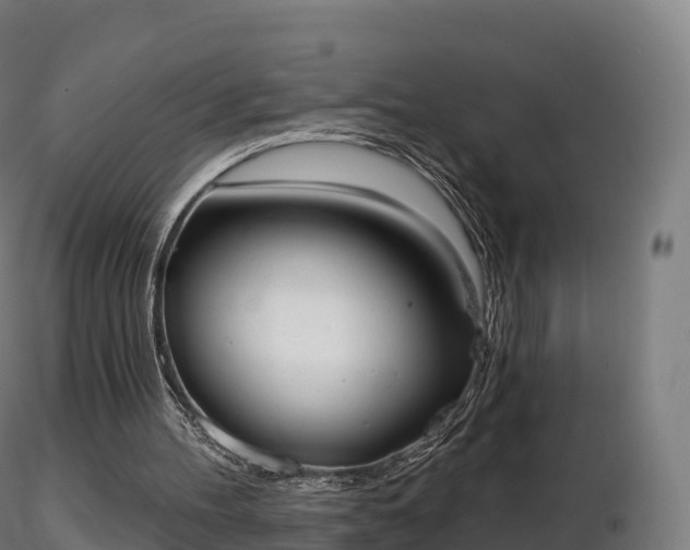 X0000116830100200912241235