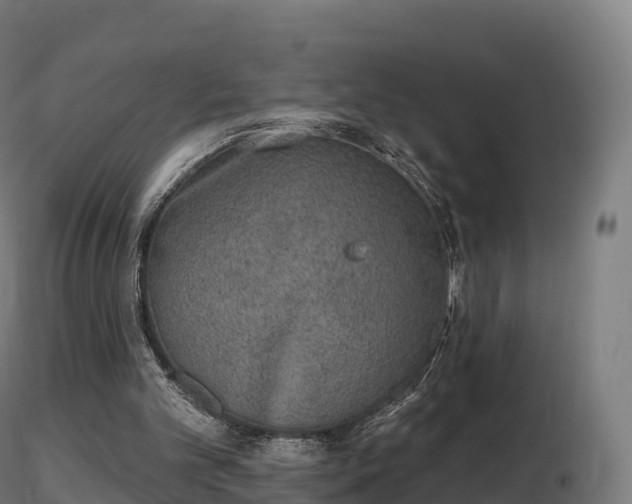 X0000116830101200912241235