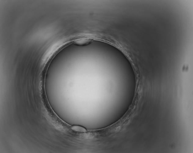 X0000116830103200912241235