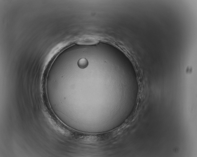X0000116830104200912241235