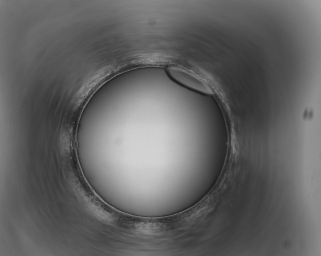 X0000116830105200912241235