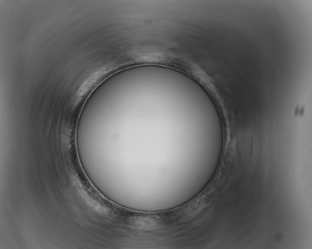 X0000116830106200912241235