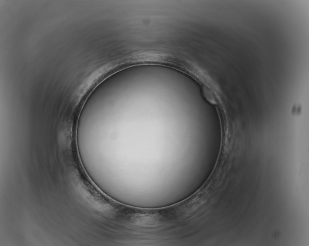 X0000116830107200912241235