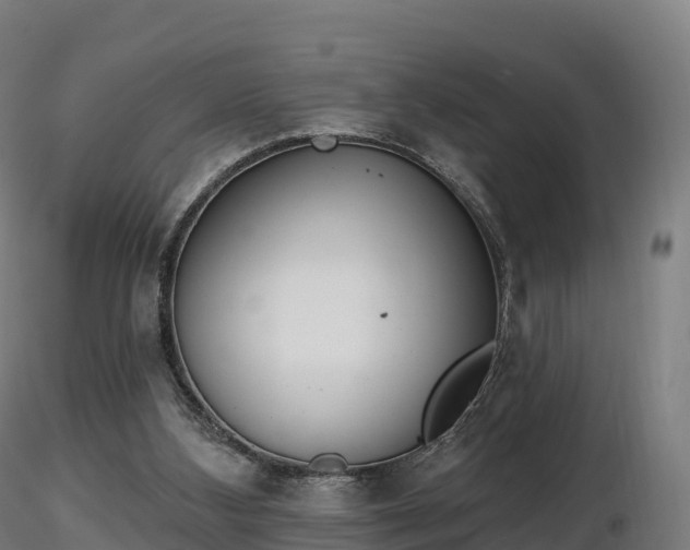 X0000116830108200912241235