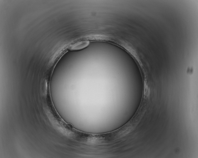 X0000116830109200912241235