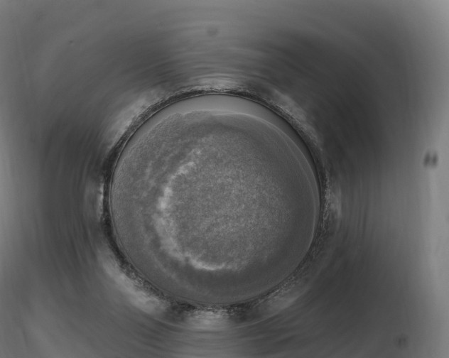 X0000116830110200912241235