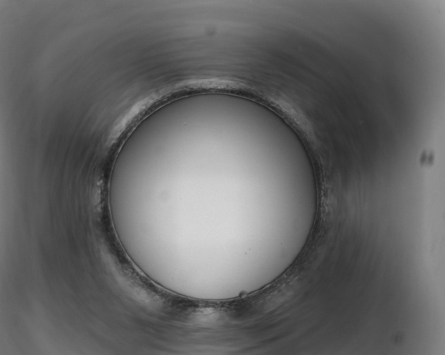 X0000116830111200912241235