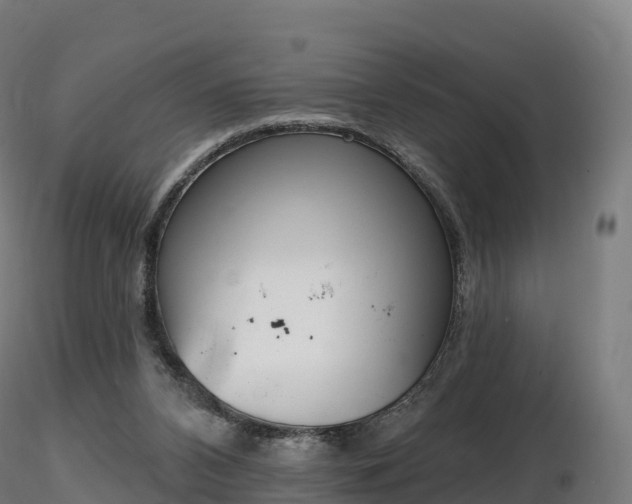 X0000116830112200912241235