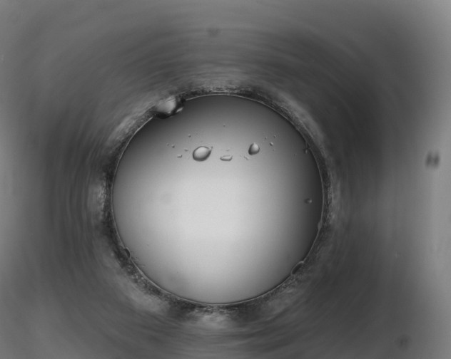 X0000116830113200912241235
