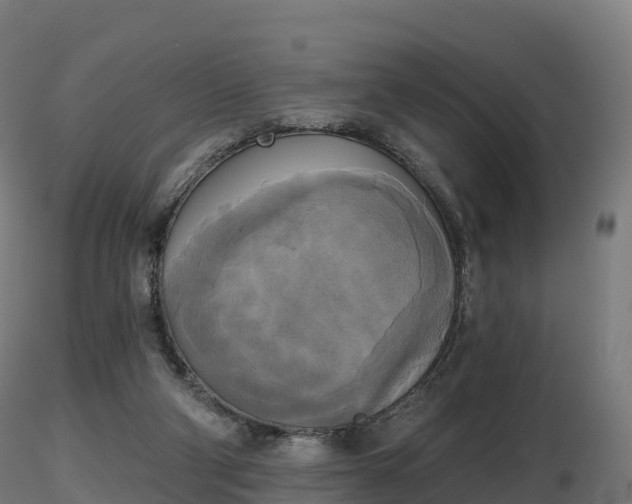 X0000116830114200912241235
