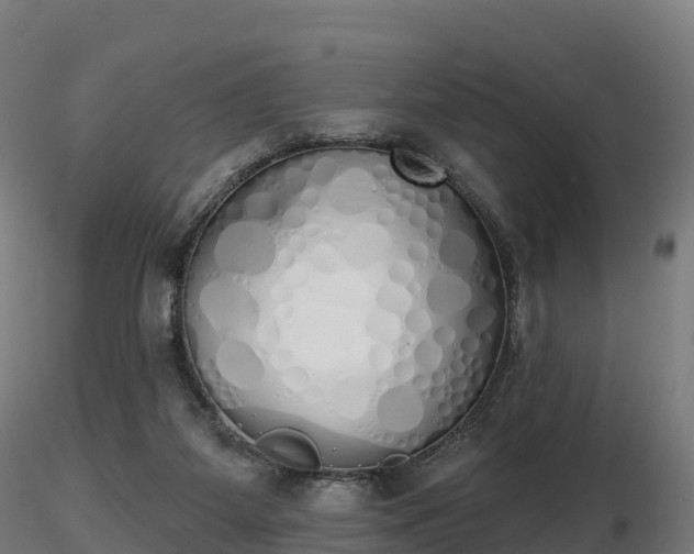 X0000116830115200912241235
