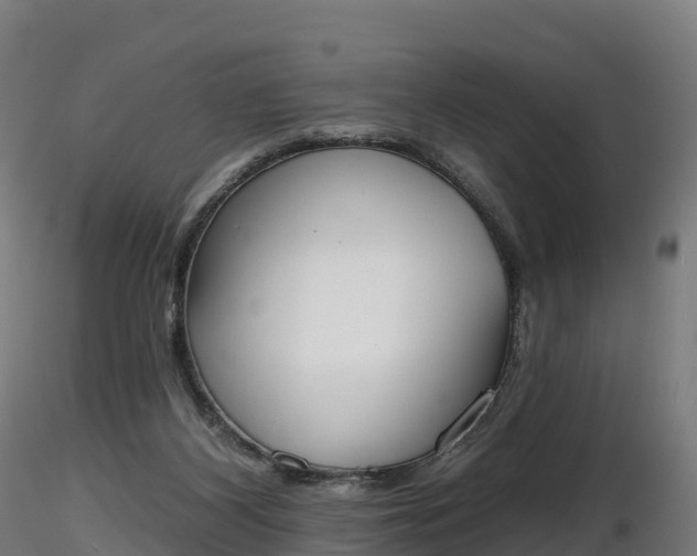 X0000116830116200912241235