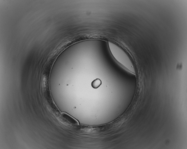 X0000116830117200912241235