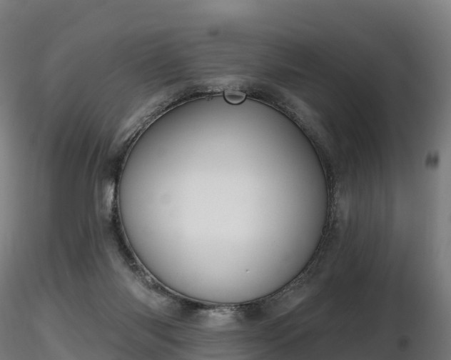 X0000116830118200912241235
