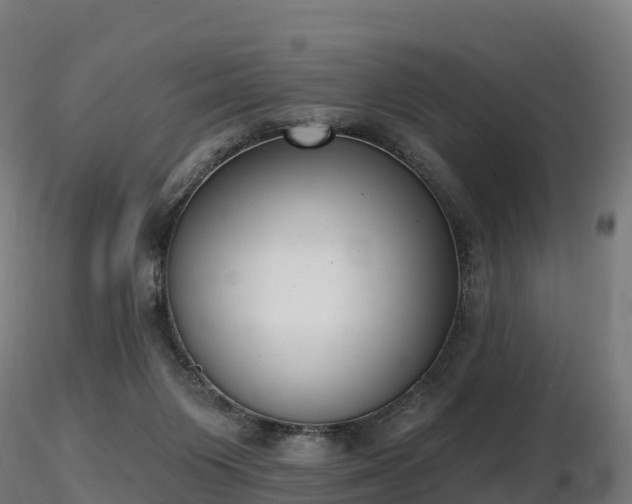 X0000116830119200912241235
