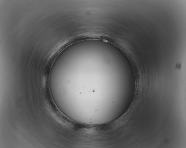 X0000116830120200912241235