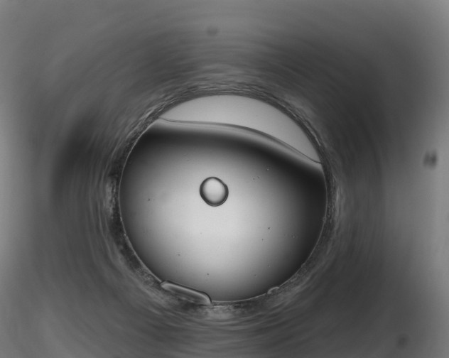 X0000116830121200912241235