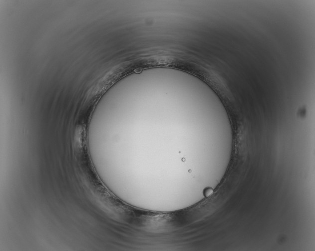 X0000116830122200912241235