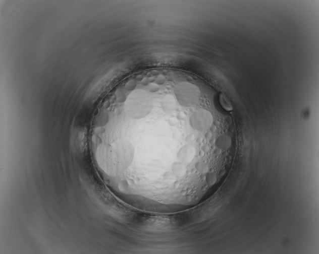 X0000116830123200912241235