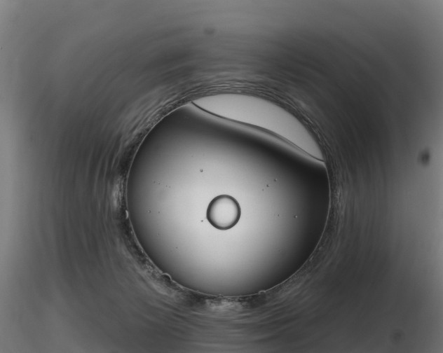X0000116830125200912241235