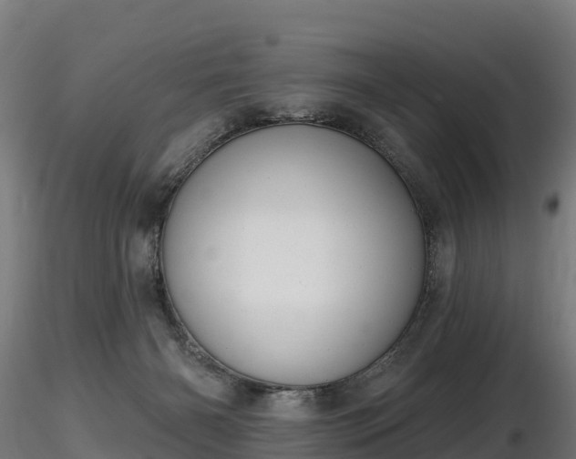 X0000116830126200912241235