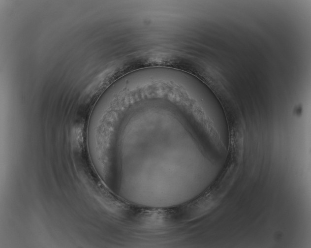 X0000116830127200912241235