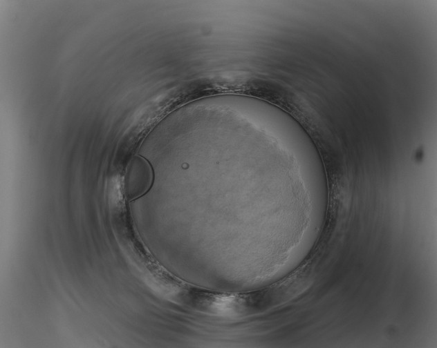 X0000116830130200912241235