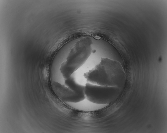 X0000116830131200912241234