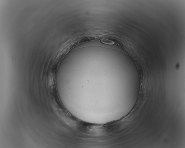 X0000116830132200912241234