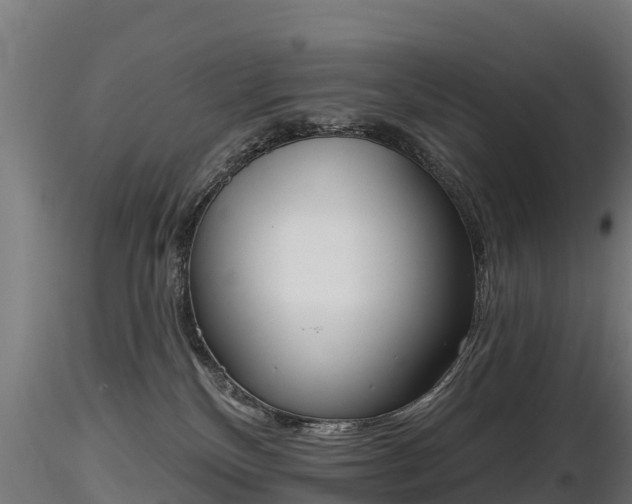 X0000116830136200912241234