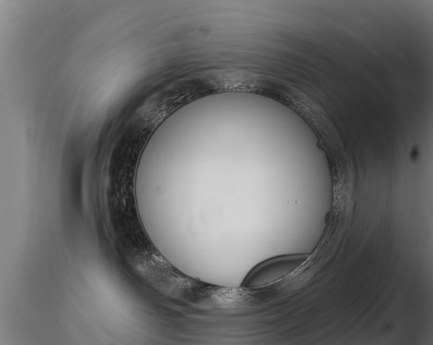 X0000116830142200912241234