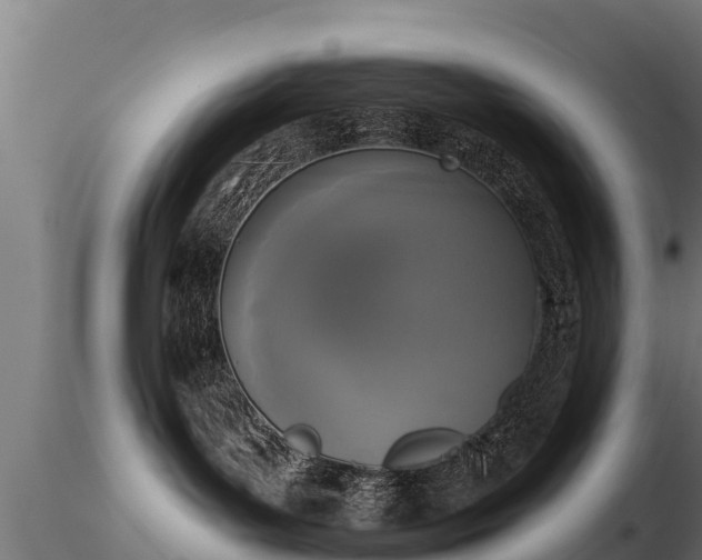 X0000116830143200912241234