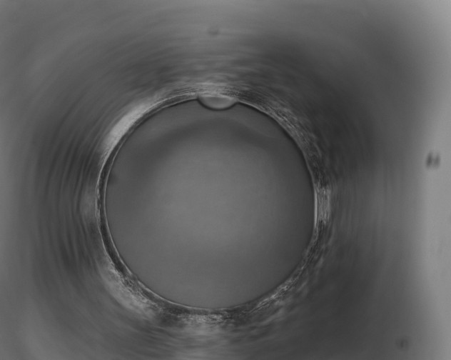 X0000116830147200912241234