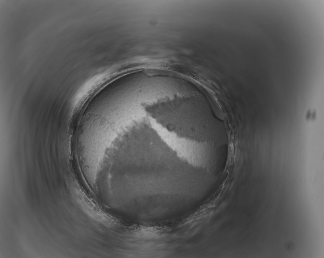 X0000116830149200912241234