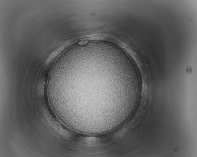 X0000116830153200912241234