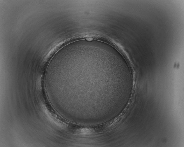 X0000116830154200912241234