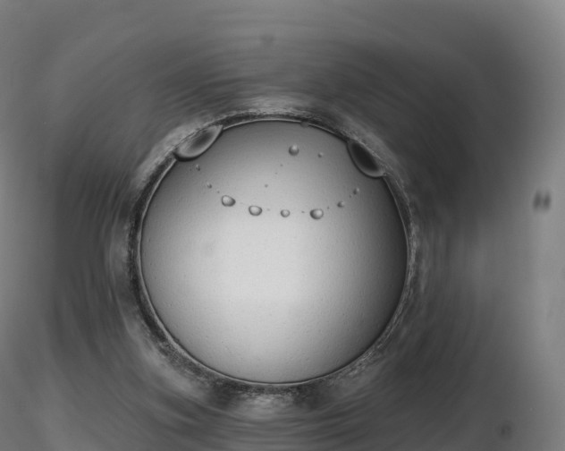 X0000116830155200912241234