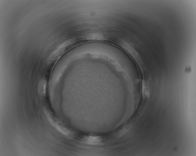 X0000116830157200912241234